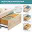 32.68'' Wide 2 - Drawer File Cabinet with Shelf, Decorative Office Cabinet-898854100
