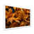 White Single Picture Framed