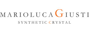 Logo Mario Luca Giusti