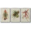 Adriana Classic Chinoiserie I, ensemble de 3 toiles encadrées sur toile-97759318-97759319
