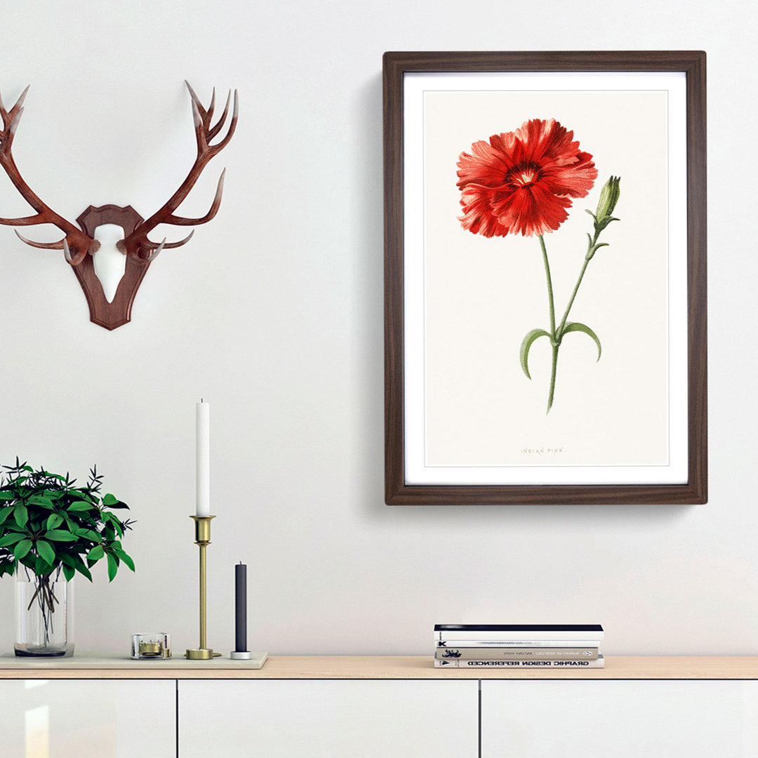 Pink Flower by Frederick Edward Hulme - Framed Print