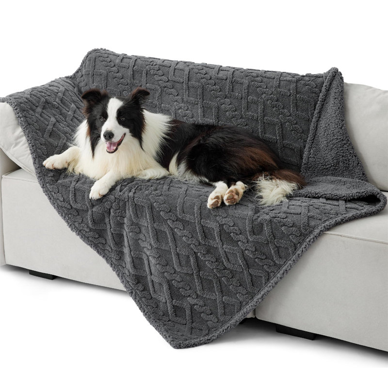 Pet Blanket