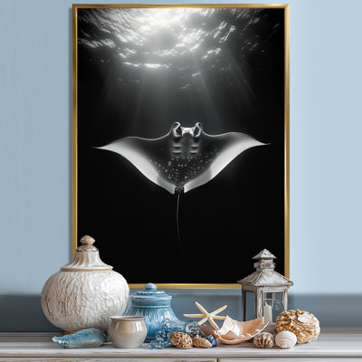 " Giant Oceanic Manta Ray "