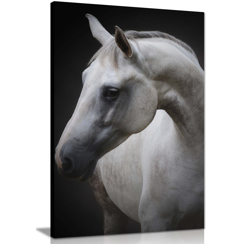Graceful Horse Portrait - Wrapped Canvas Print, 31cm H x 20cm W x 3cm D