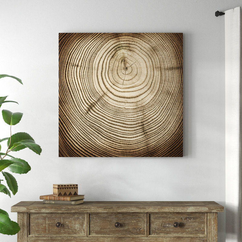 «Rings of Age», reproduction d'art sur toile tendue, H 40 po x l 40 po x P 1,5 po