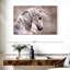 Cheval brun Brampt-106052768