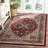 Amleto Performance Oriental Rug-49588030