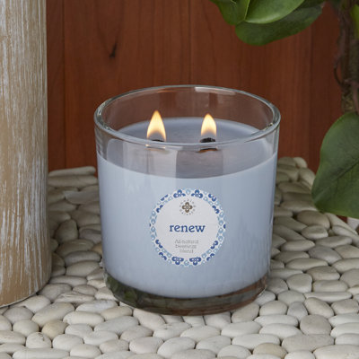 Renew Seaside Cypress & Cedarleaf Scented Jar Candle