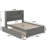 Brevyn Solid Wood Bookcase Storage Platform Bed with Footboard & Roll Out Trundle-213563537-138842639