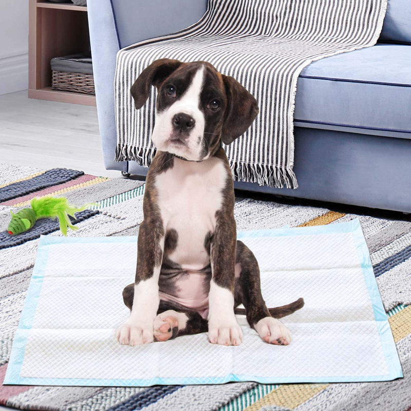 Maddux Polyester Pet Bed