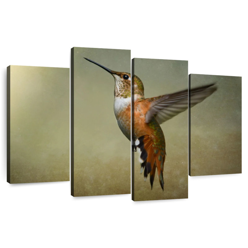 Brampt Female Rufous Hummingbird