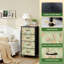 Commode à 4 tiroirs pour la chambre à coucher Vintage Botanical Birds Pears Blossoms Light