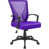 Purple/Black