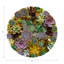 Sous-verres ronds succulents en cuir végétalien blanc-119015174