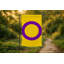 Drapeau Intersex Pride - drapeau extérieur-2034685408