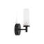 Adiell Glass Armed Sconce-18891012-29433343