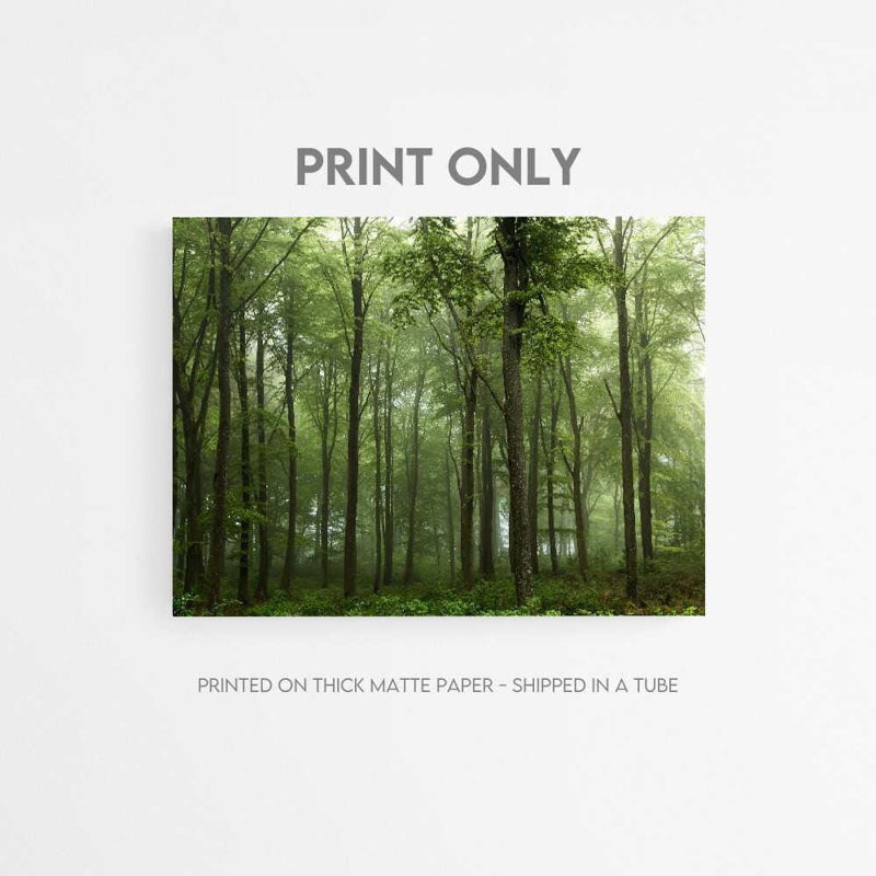 «Foggy Forest», art danois (encadré), H 30 po x l 40 po, Reproduction encadrée avec passe-partout, Noir