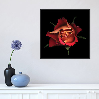 Le baiser d'une rose, reproduction de photo sur toile tendue
