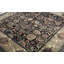 Wool Oriental Area Rug