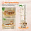 Du sol au plafond, arbre à chat, hauteur de 93,3 po à 100,8 po, tour de chat en bois à hauteur ajustable avec poteaux à griffer, condo confortable, perchoirs et grand hamac pour chats d'intérieur