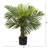 Faux Palm Tree in Pot Liner-1716025063