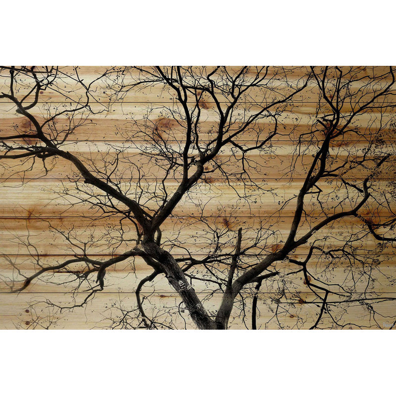 «Branching Out III» par Parvez Taj, reproduction sur bois, H 16 po x l 24 po x P 1,5 po