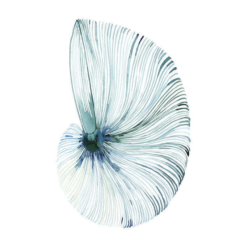 Eye of the Ocean I 1 Piece Wrapped Canvas Painting, 46cm H x 30cm W