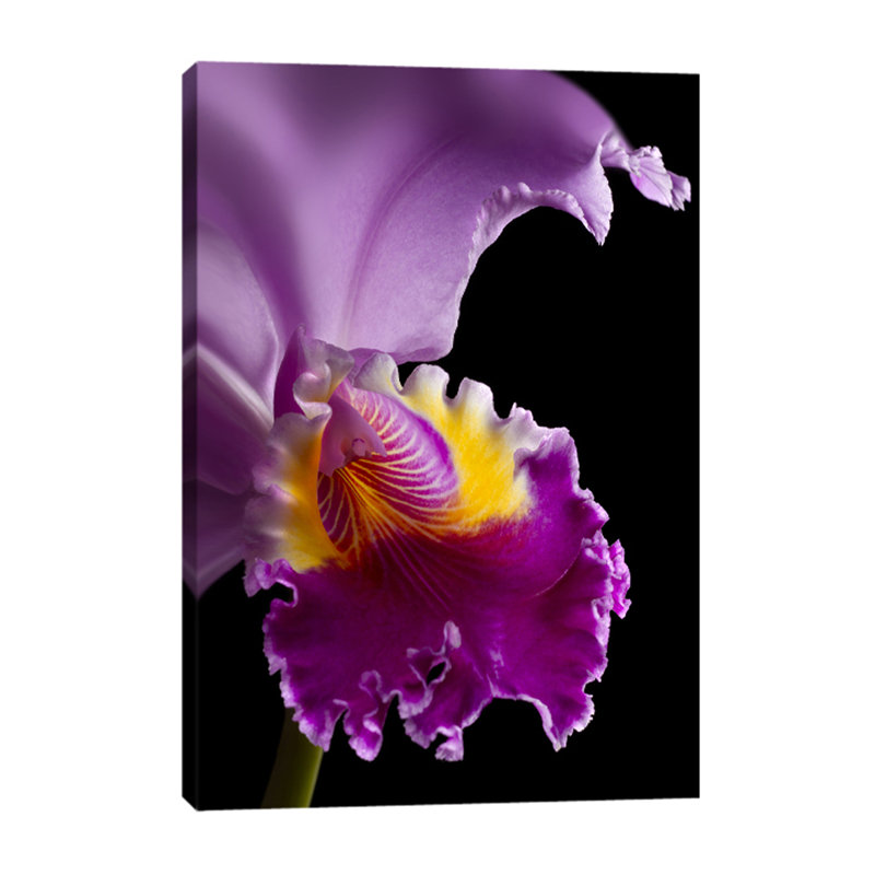 Purple Orchid 1 Piece Wrapped Canvas Wall Art, 76cm H x 51cm W x 4cm D