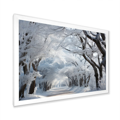 " Winter Frosty Forest I "