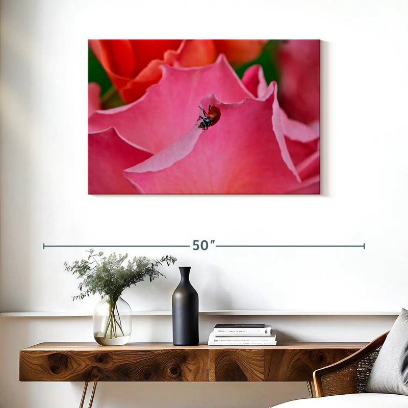 Brampt Ladybug On A Rose I