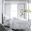 Vienna Down Comforter Light Weight-63470154