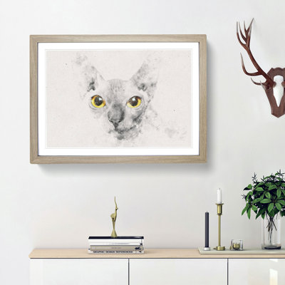 Sphynx Cat with Amber Eyes - Picture Frame Graphic Art Print