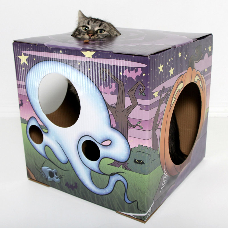 Maison pour chat Tashania