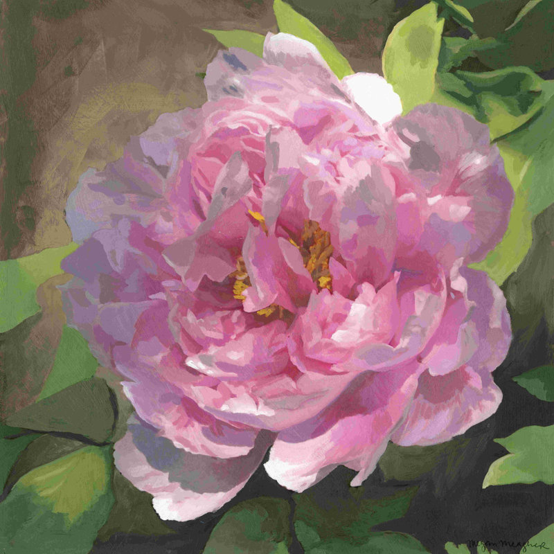 Pivoine rose I, H 12 po x l 12 po