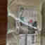 Customer photo 1 of 3