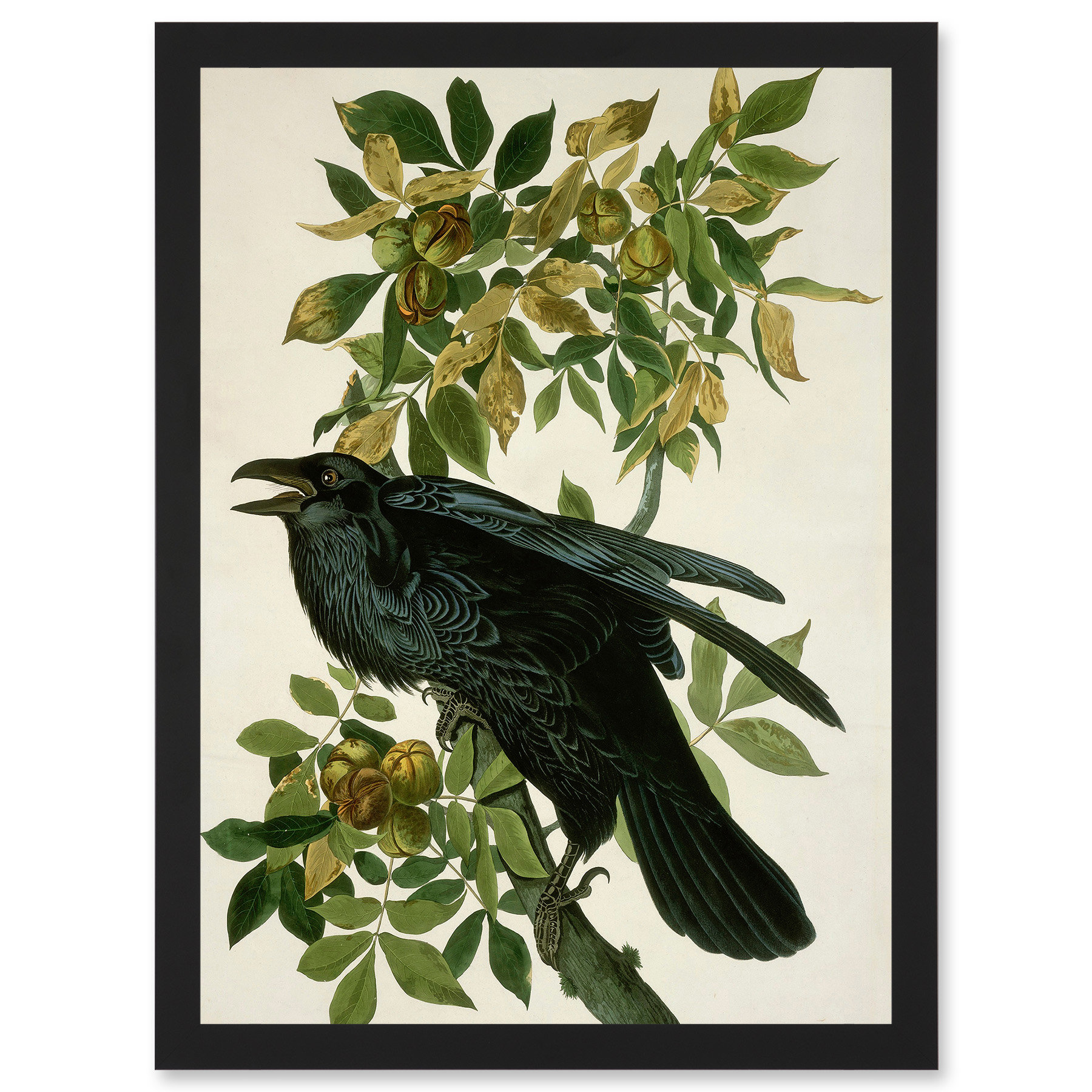 Rosalind Wheeler Painting Nature Animal Bird Audubon A4 Artwork Framed ...