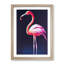 Portrait Of A Flamingo - Single Picture Frame Print-751494702-751494703