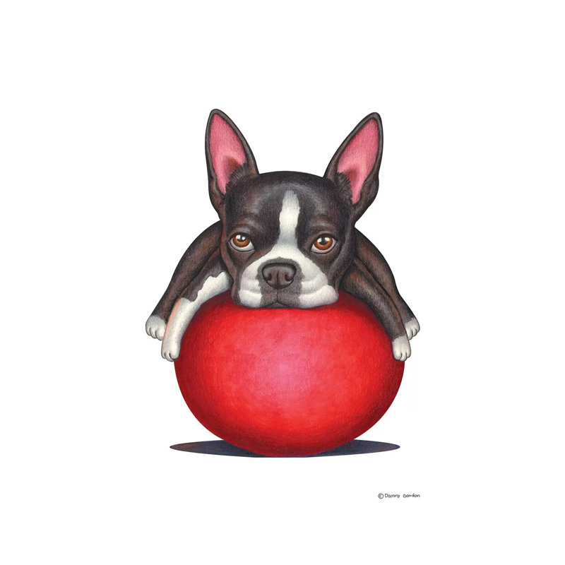 «Boston Terrier» par Danny Gordon - peinture sur toile tendue, H 26 po x l 18 po x 1,5 po