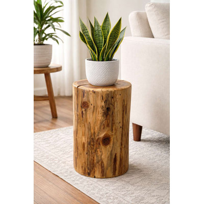 Souche de cèdre, support pour plante / table d'appoint / tabouret, 10 po x 18 po, vernis naturel transparent