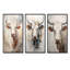 Beau portrait de bovin beige-453215552-453215555