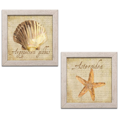 2 - Pieces Coastal