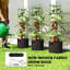 Vertical Garden