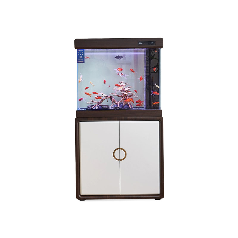 Aquarium 60-66 gallons