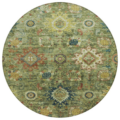 Machine Washable Indoor/Outdoor Xhevrie Aloe Rug