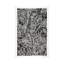 Strickler noir Schismatoglottis Calyptrata-35538854-72411721-72411713