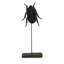 Small June Beetle on Stand