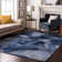 Limpho Area Rug with Non-Slip Backing