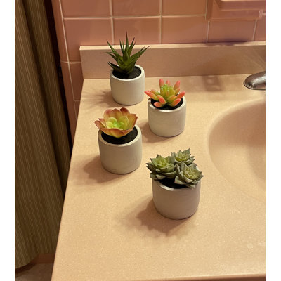 Ensemble de 4 plantes artificielles en ciment