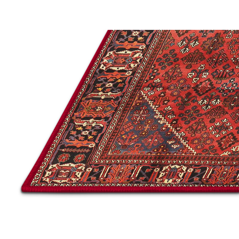 Cecellia Oriental Indoor Rug, Rectangle 8' x 12'