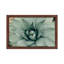 Mint Succulent I by Chelsea Victoria - Print-552063190-561792265